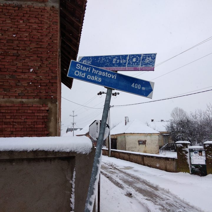 Šalinac